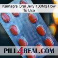 Kamagra Oral Jelly 100Mg How To Use 06